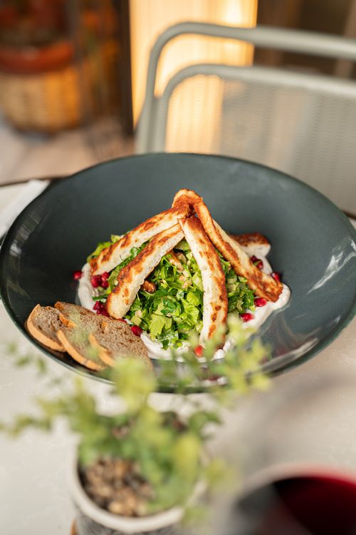 Free Delicious grilled halloumi salad with herbs and pomegranate, perfect for fine dining. Stock Photo