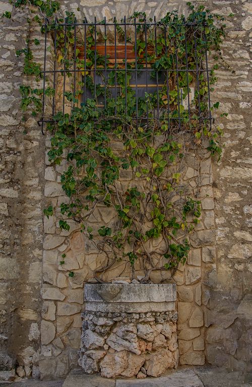Free Rustic stone wall with ivy and barred window in Comunidad Valenciana. Stock Photo