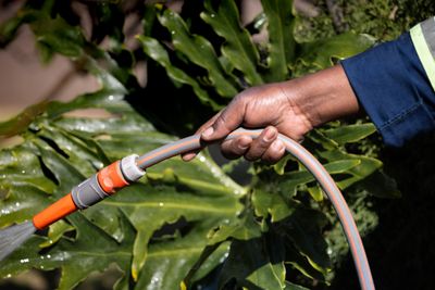 Best Garden Hoses in 2026