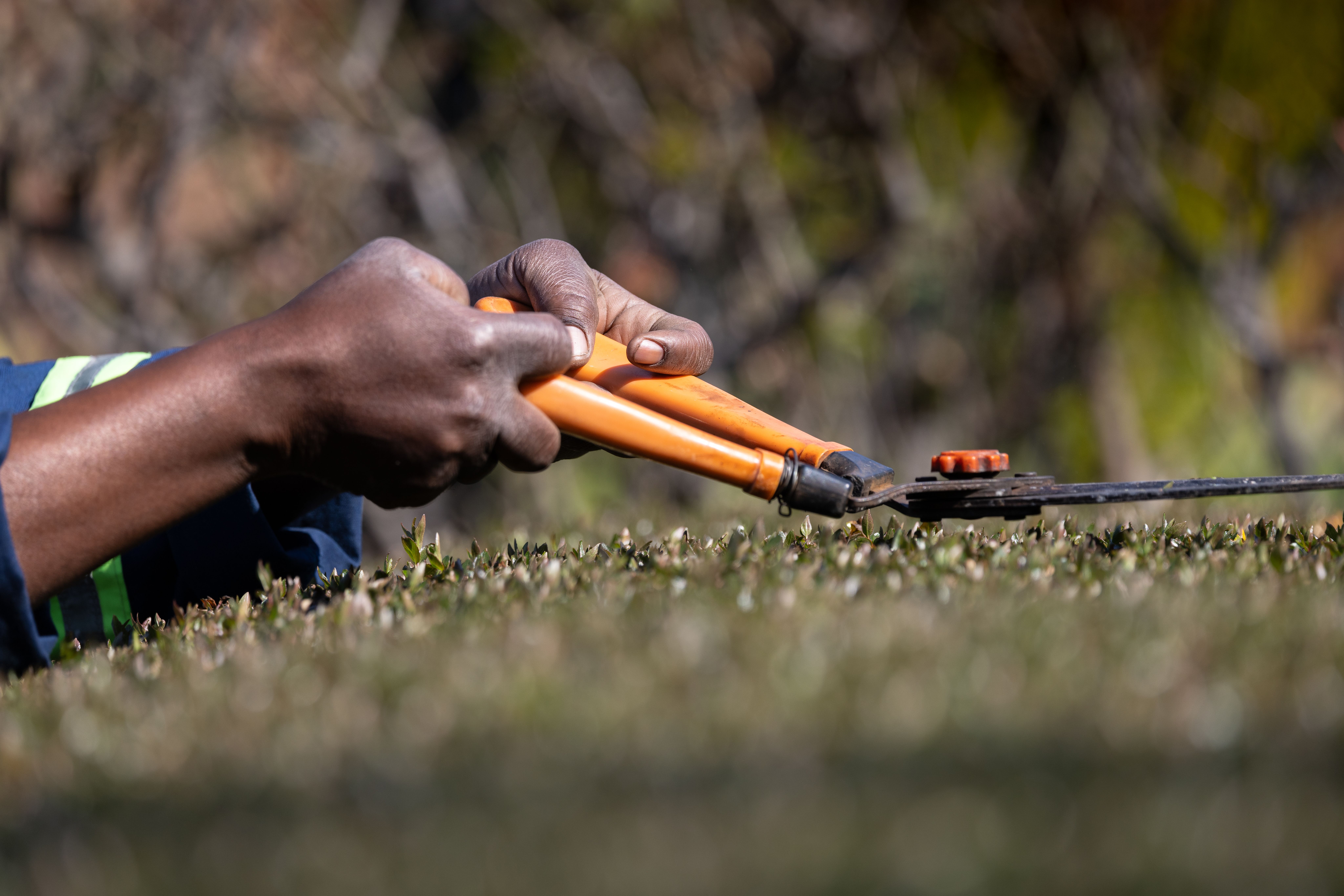 Greenscape Lawn Services team member shaping a hedge at a residential property