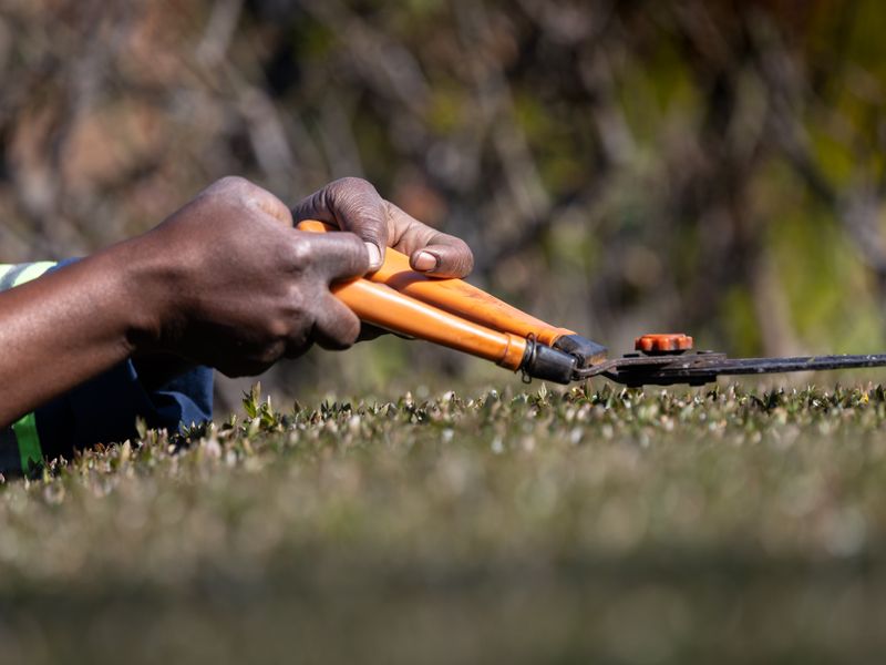 Lawn care & mowing, Wilderness