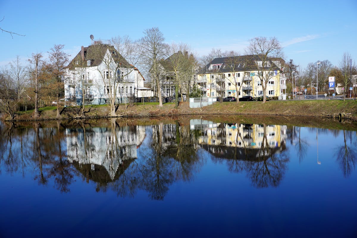 Close-up of roasted salmon and vegetables with herbs and lemon on a tray