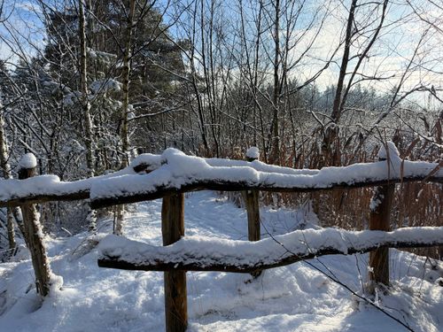 Free Serene winter scene with snow-covered wooden fence in a quiet forest, under clear skies. Stock Photo