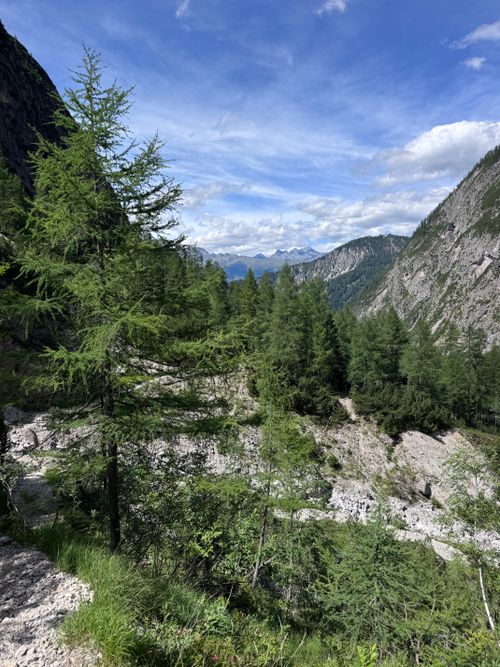 Free Idyllic view of lush greenery and mountains in Tyrol, Austria on a sunny day. Stock Photo