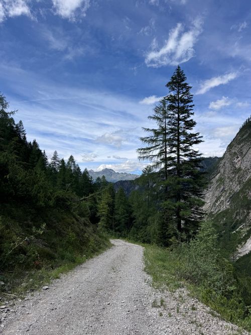Free Discover a serene mountain trail amidst lush Tyrolean forests and breathtaking alpine views. Stock Photo