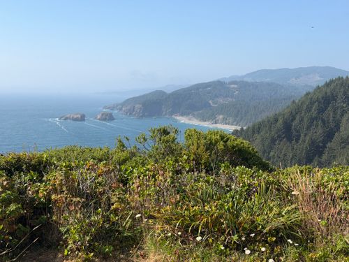 Free Scenic view of the Oregon coastline with lush greenery and Pacific Ocean waves in the background. Stock Photo