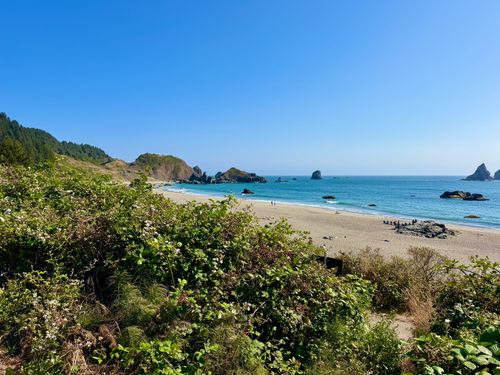 Free Beautiful view of the Oregon coastline with lush greenery and clear blue sky. Stock Photo
