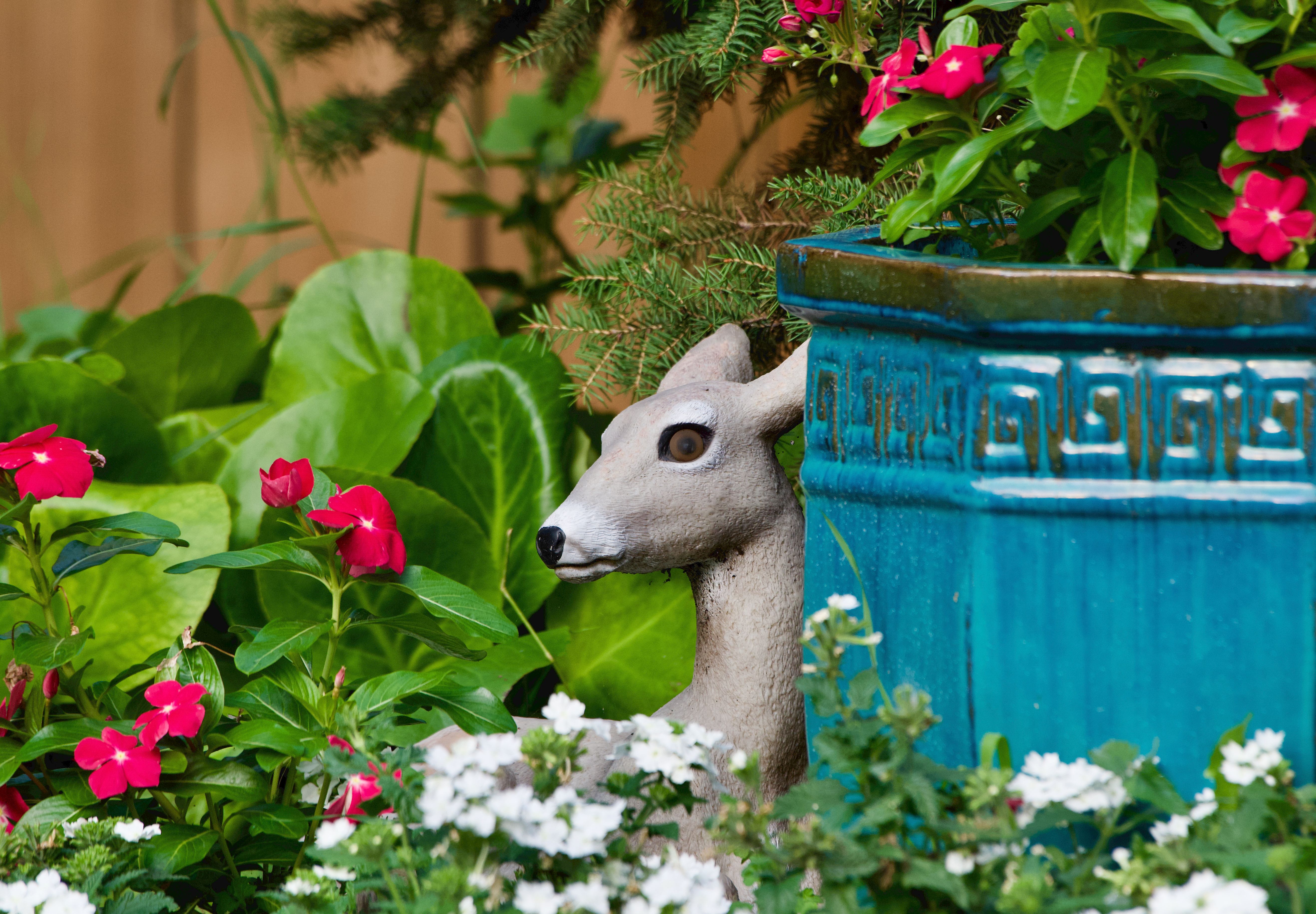 Brass Planters imported to Canada