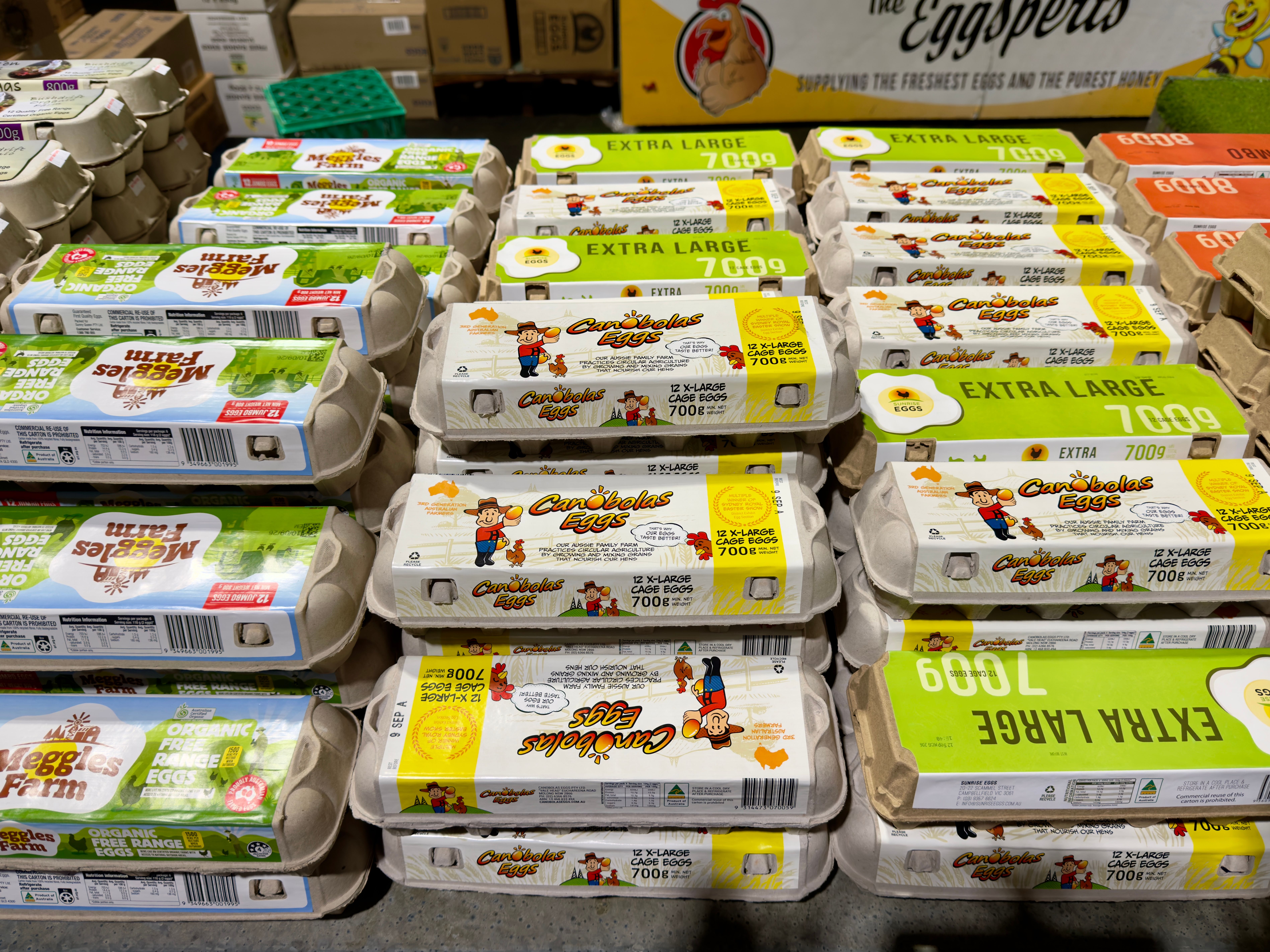 Egg cartons on a grocery store shelf