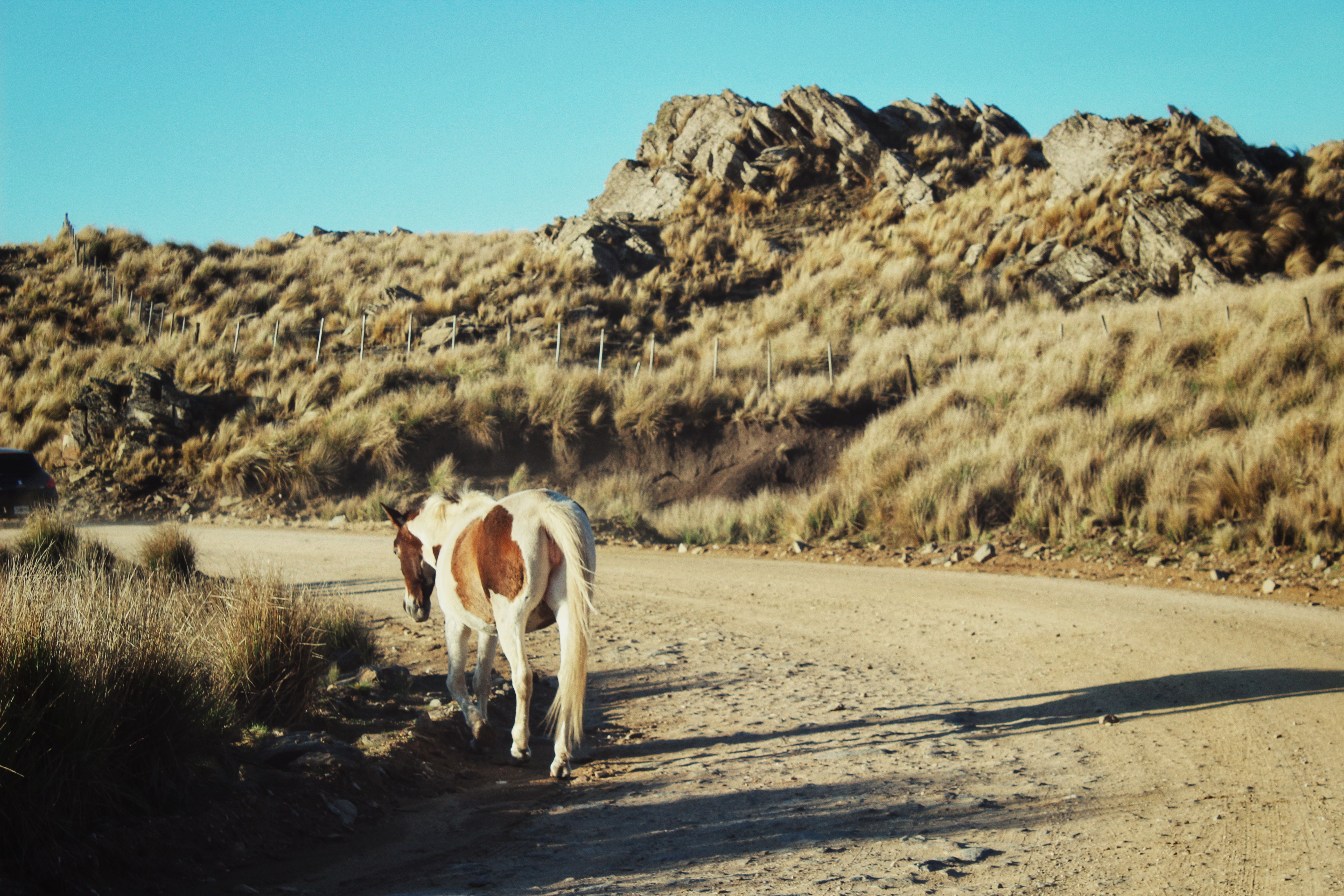 Walk the ridge road toward Aguanqueterique