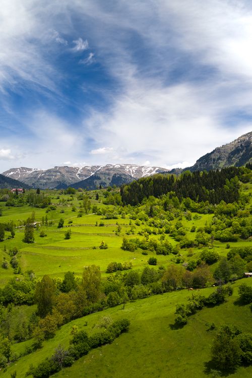 Free A stunning aerial view of a lush green valley with snow-capped mountains in the background. Stock Photo