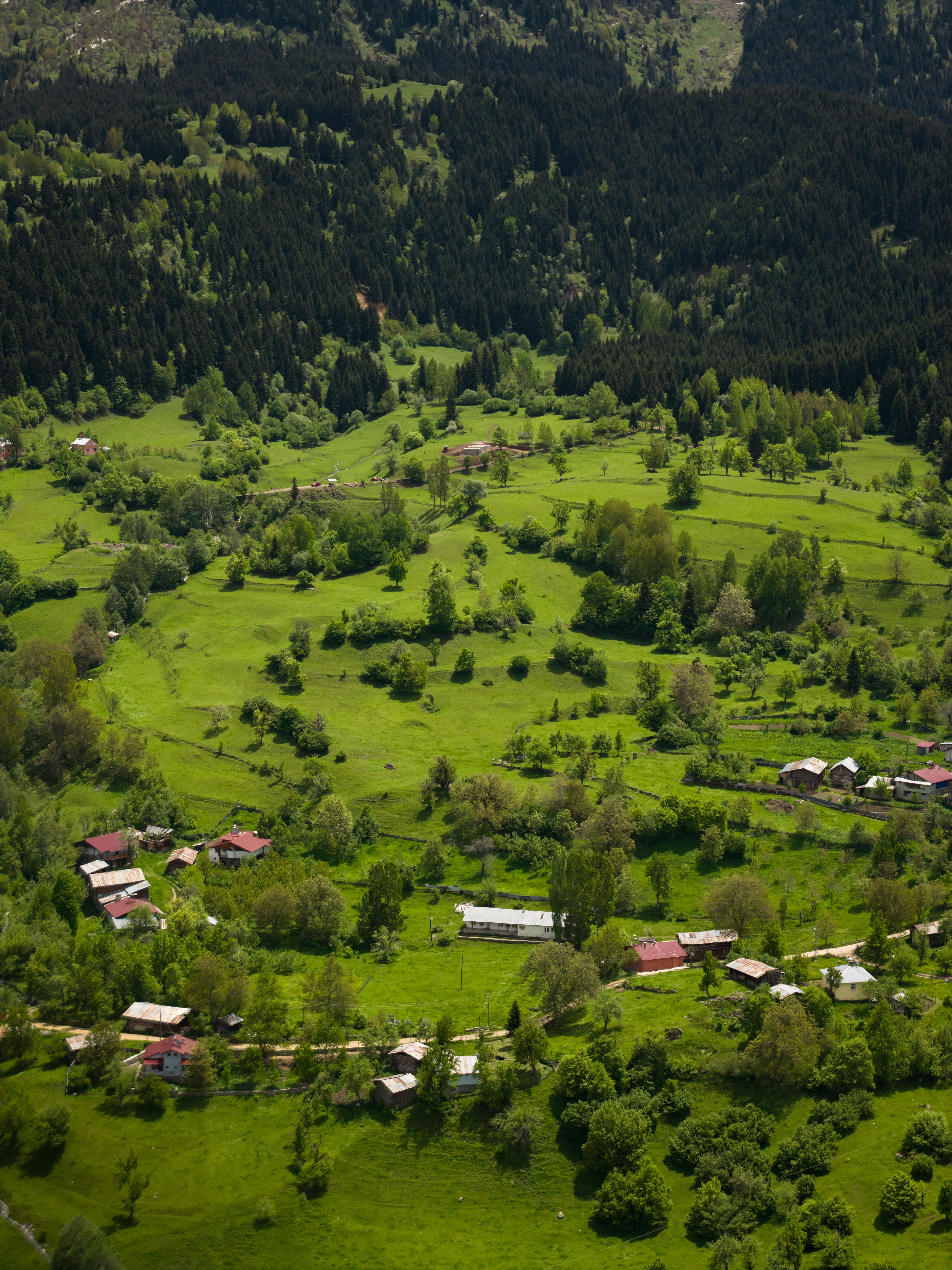 A beautiful aerial photograph capturing a lush green valley with scattered houses and dense forests in the background.