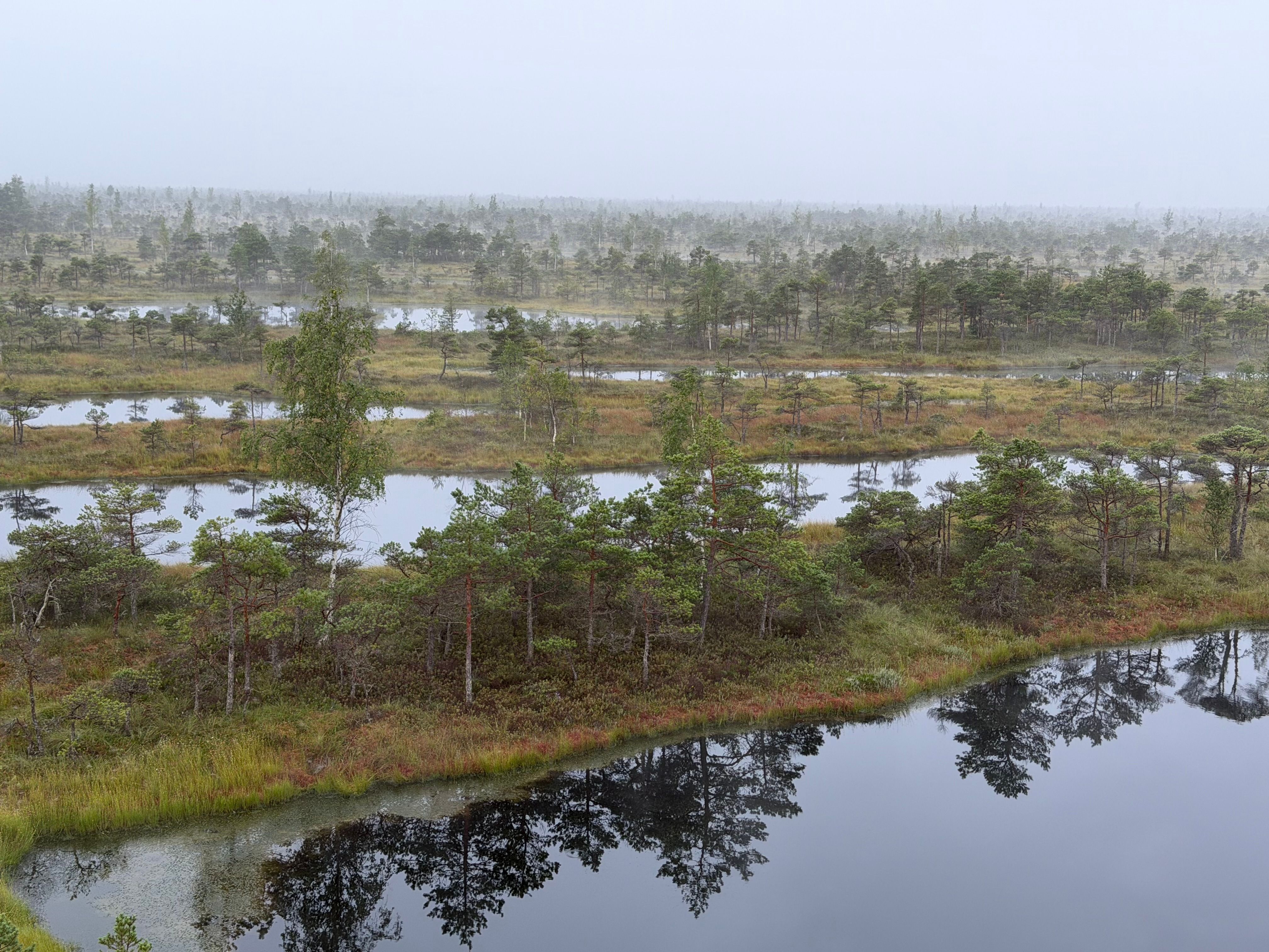 Oostvaardersplassen, Nieuw Land National Park