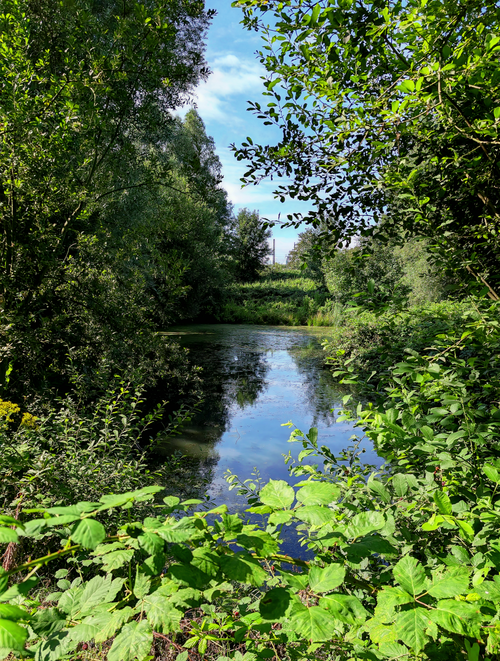 Free A serene pond nestled in a lush forest, reflecting the clear blue sky and vibrant foliage. Stock Photo
