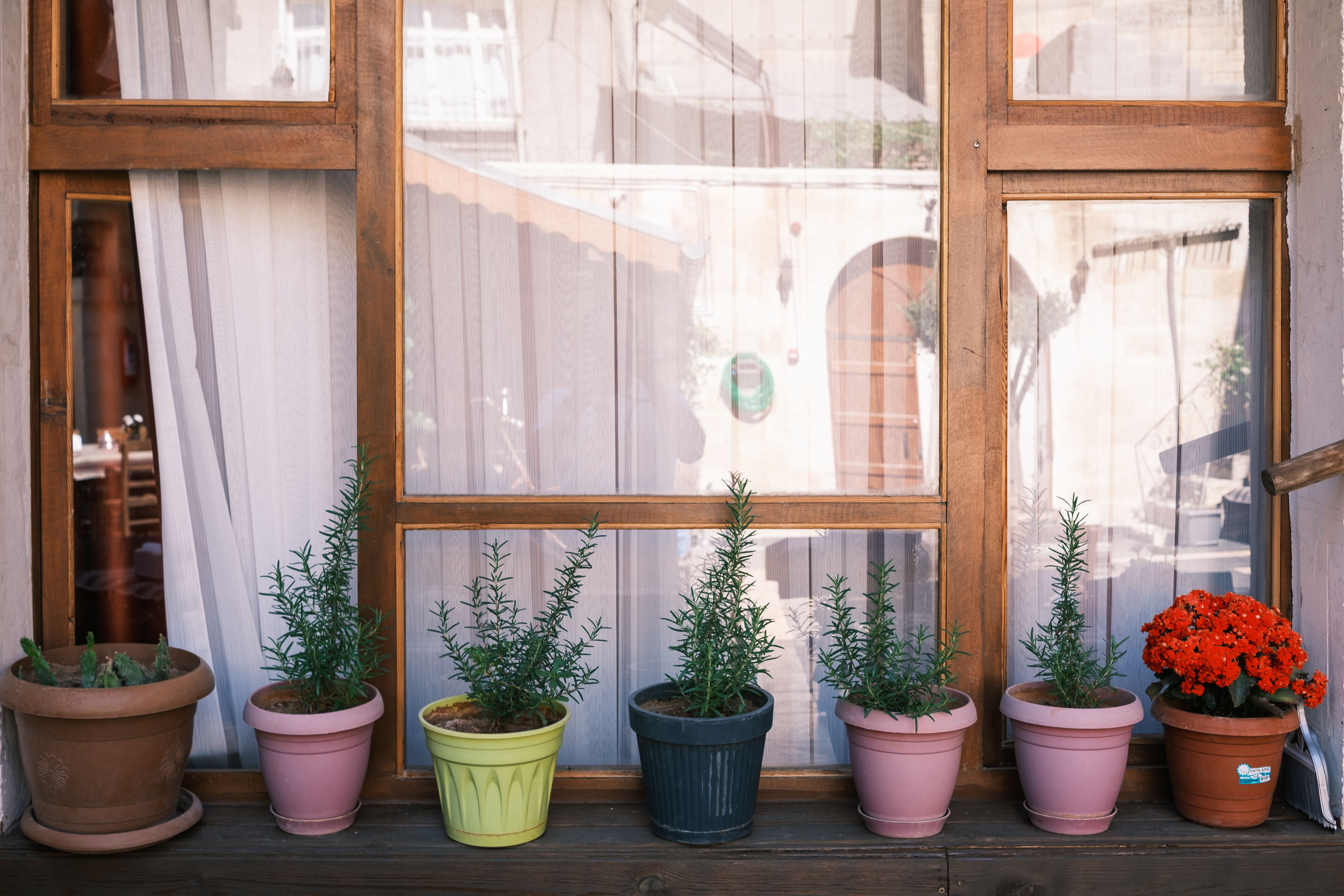 Colorful potted plants on a window sill, capturing a warm and inviting outdoor scene.