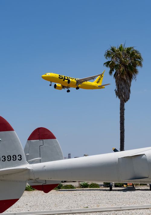 Free Spirit Airlines plane landing at LAX with a clear sky and a palm tree in the background. Stock Photo
