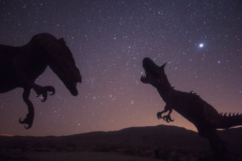 Gratis arkivbilde med dinosaurer, himmel, illustrasjon Arkivbilde