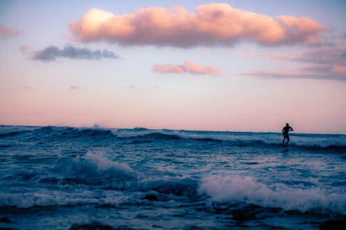 Δωρεάν στοκ φωτογραφιών με oceanshore, ακτή του ωκεανού, άνθρωπος