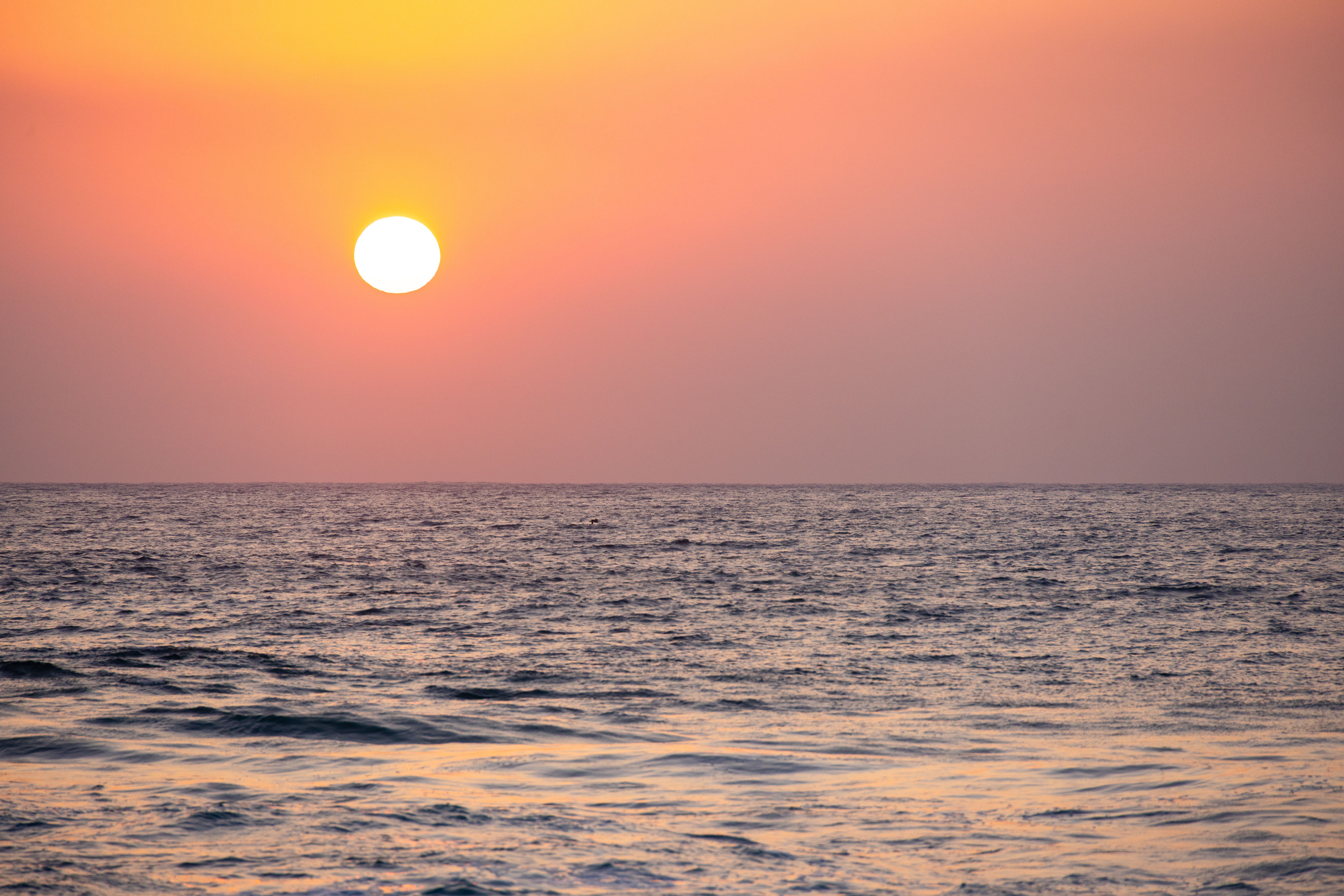 Sailing the Sea While Working: A Practical Guide for Remote Professionals in Their 50s