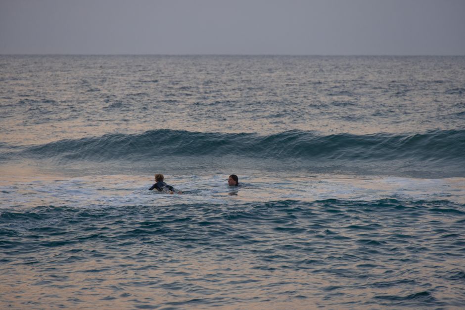 Two surfers enjoy a peaceful ocean swim at dusk, with gentle waves and a clear horizon in view.