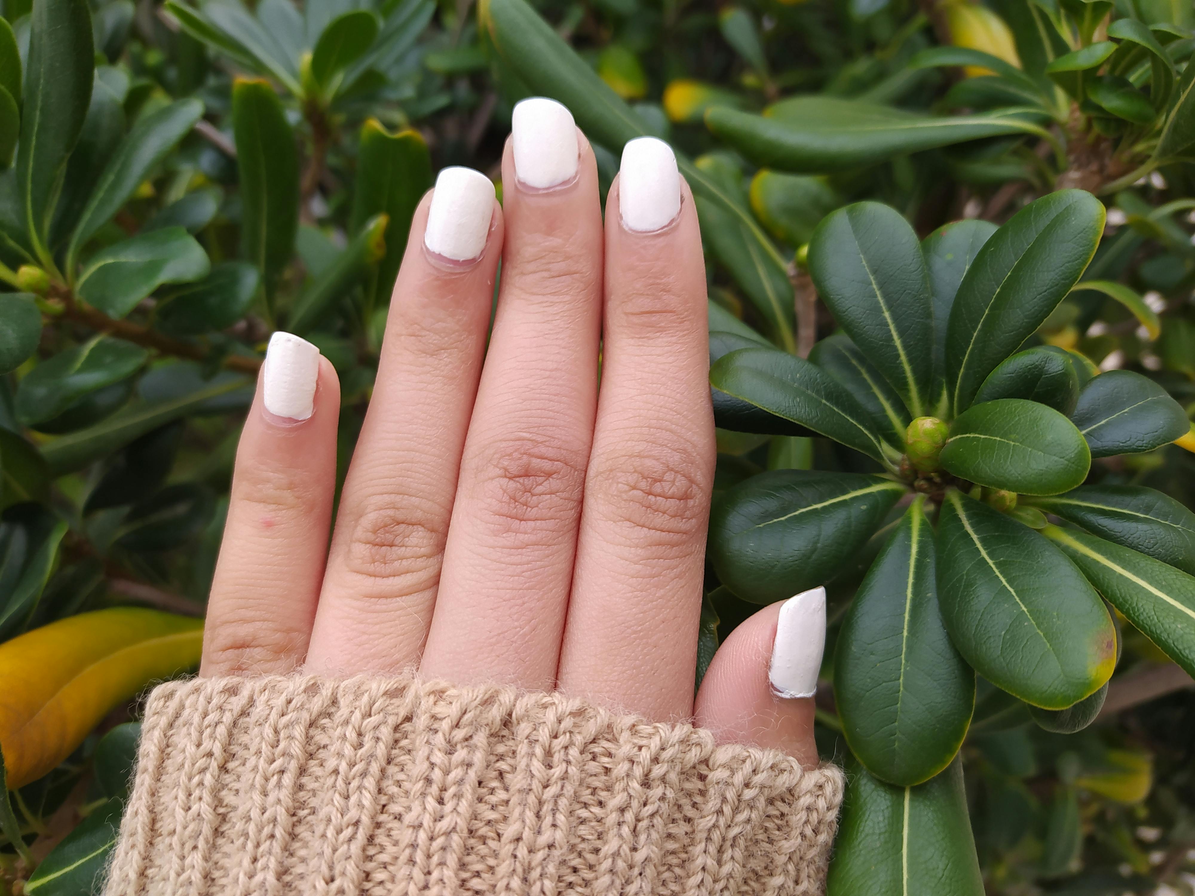 Difference Between Puffco Peak And Peak Pro Difference