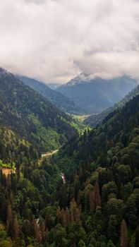 Scenic aerial view of a lush, green forested valley in Rize, Türkiye, under cloudy skies.