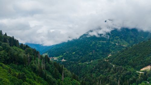 Free A breathtaking view of the misty mountains and lush forests in Rize, Turkey. Stock Photo