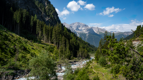 Free Breathtaking view of mountains, river, and lush forest in Bergün Filisur, Switzerland. Stock Photo