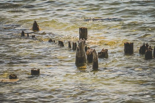 Tranquil coastal view featuring weathered wooden stumps emerging from gentle ocean waves.