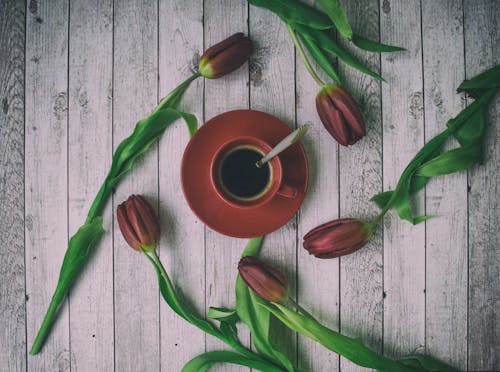 Free Cup Of Coffee Surrounded With Tulip Flowers Stock Photo