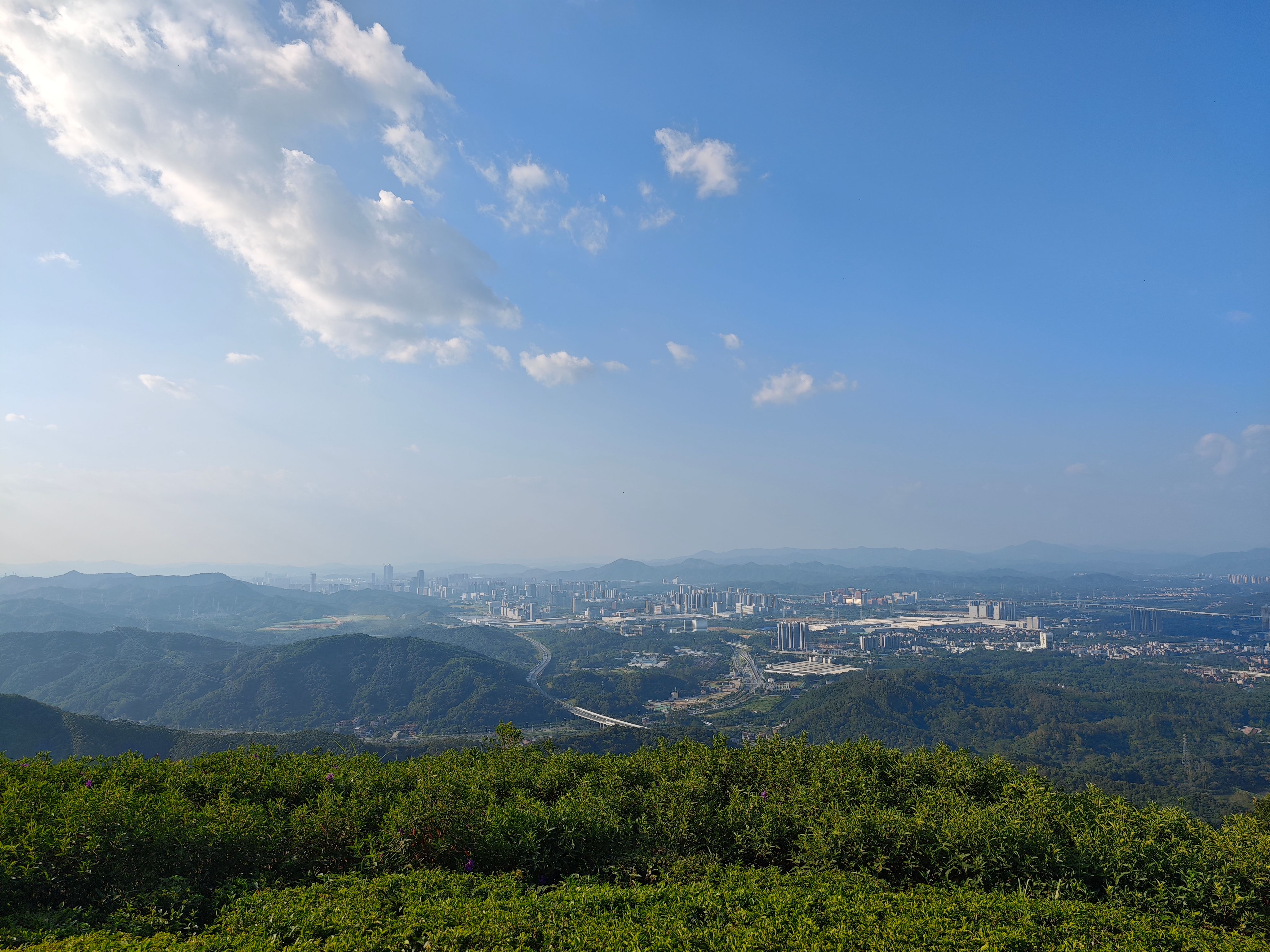 Happy Valley