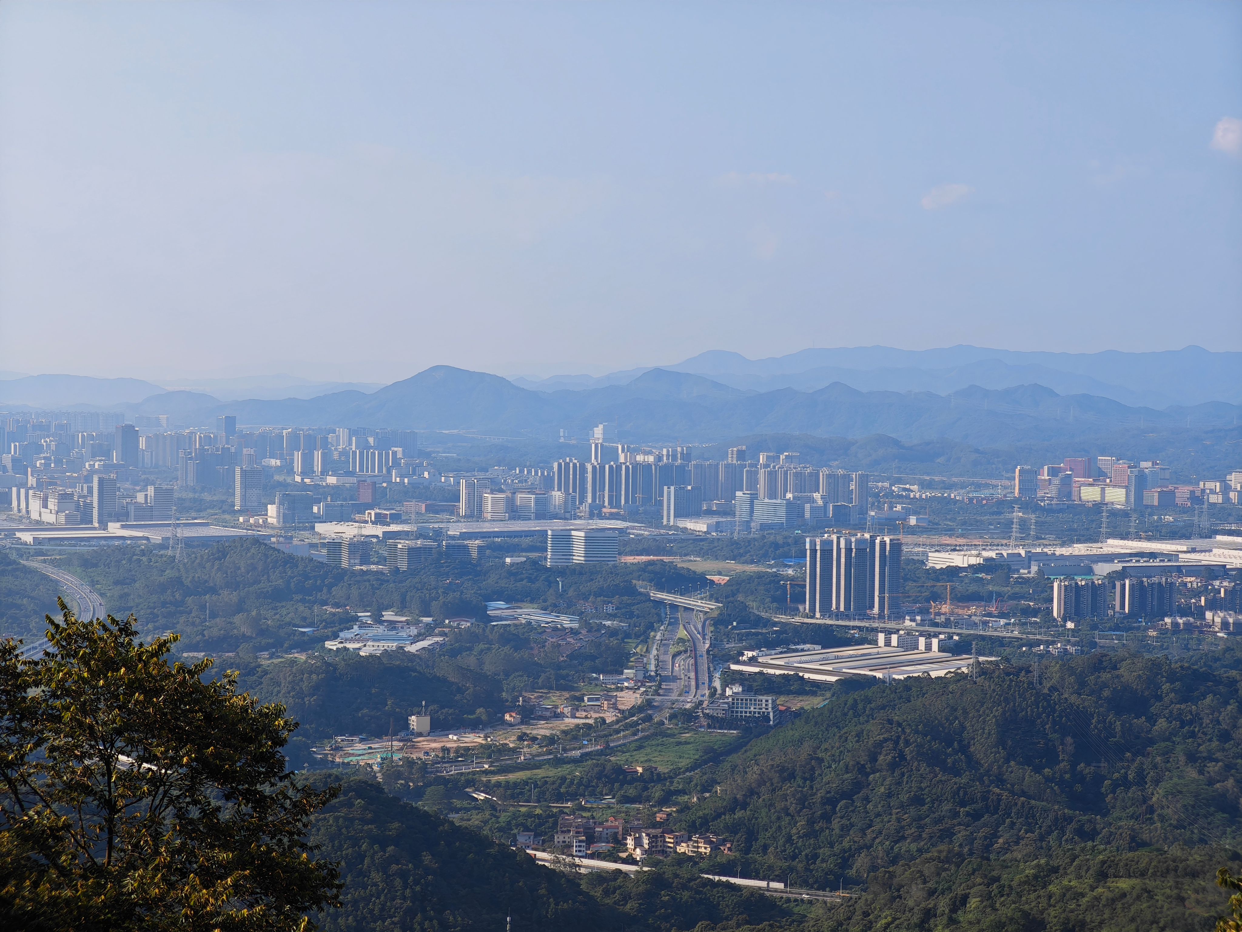 Guangdong's Land Policy to Boost Development