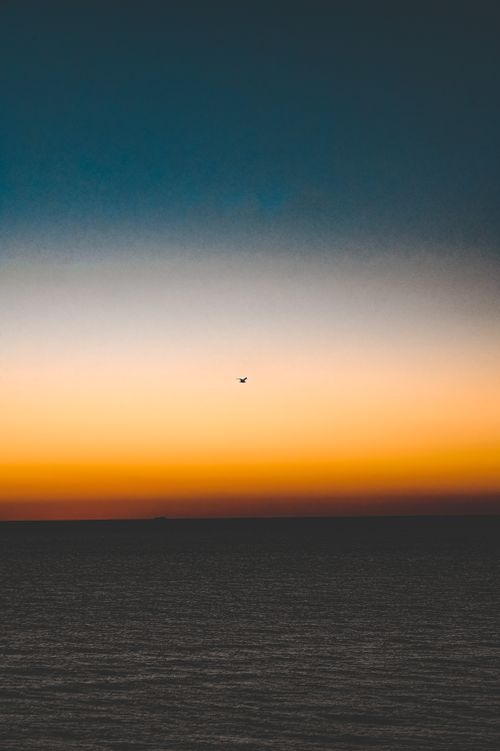 Free Captivating sunset over calm sea with airplane silhouette in Denmark. Stock Photo