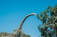 Dinosaur Attraction Under Blue Sky