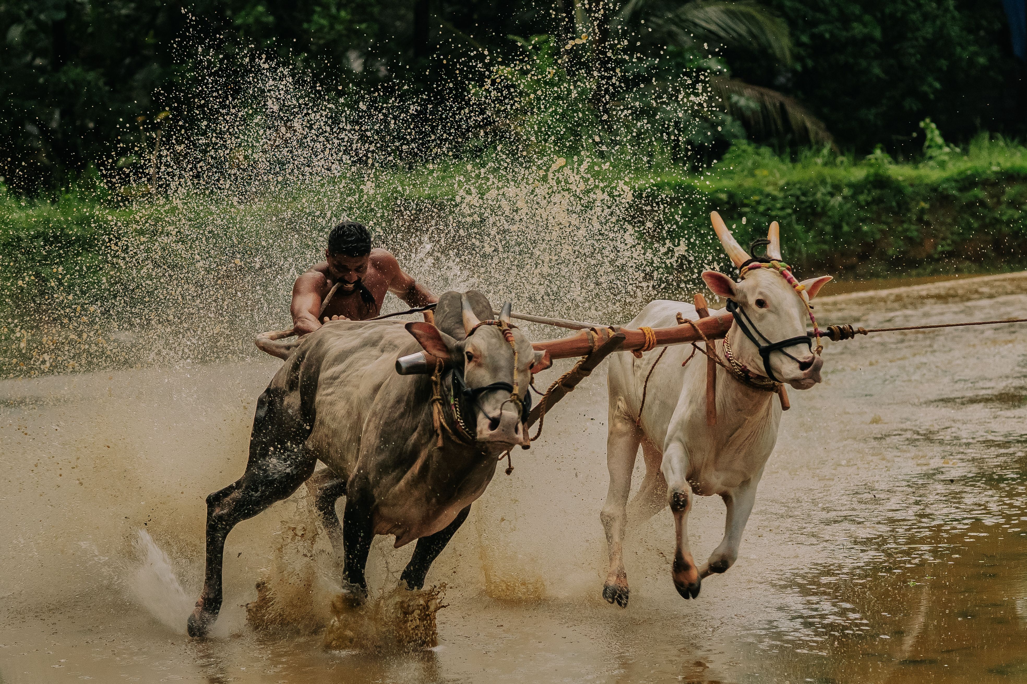 A corrida contra o tempo para resgatar mais de 600 trabalhadores presos em túneis após avalanche no Nepal e no Tibete
