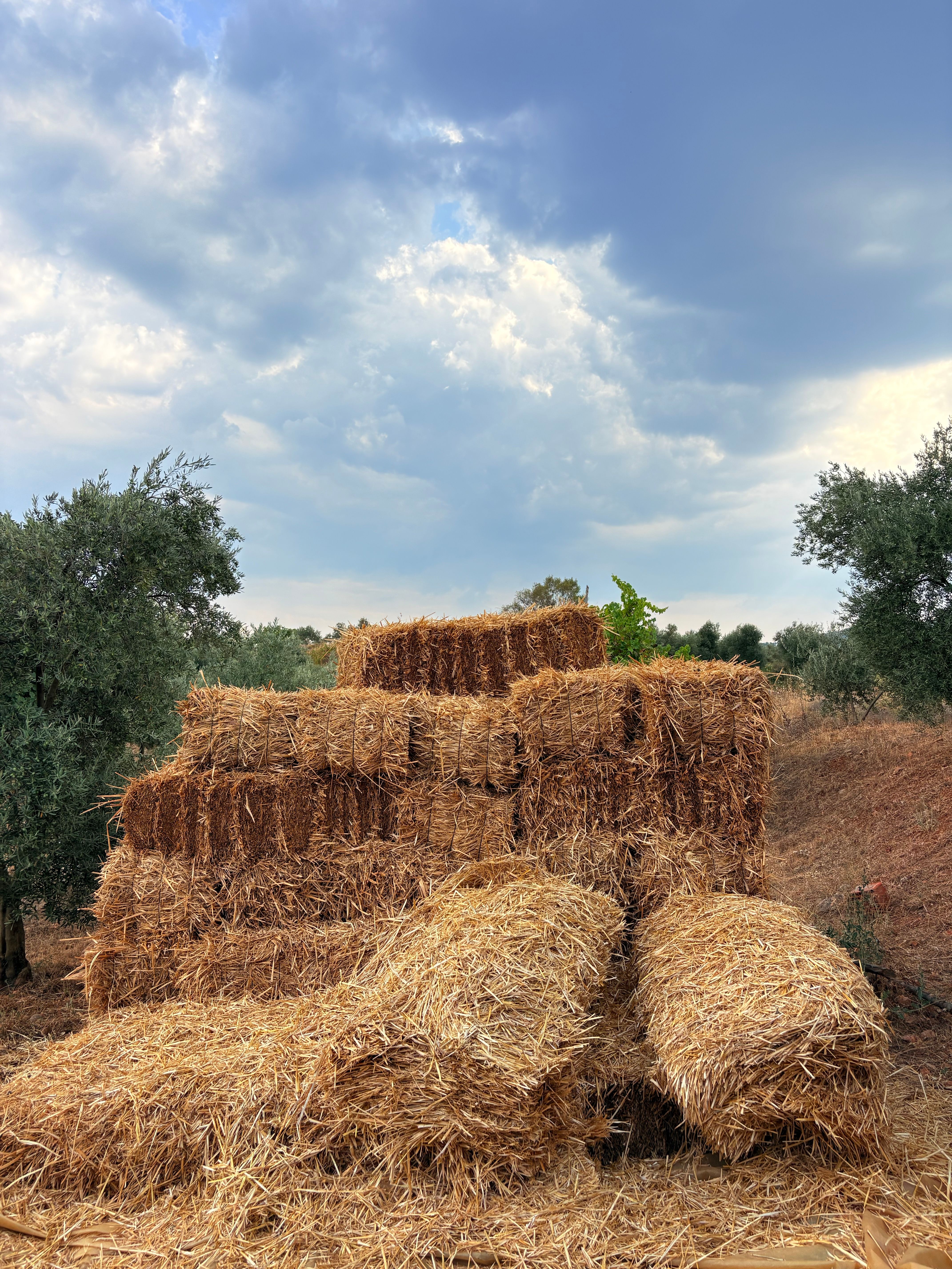 Rustic hay stack under a dramatic sky, perfect for agricultural themes.