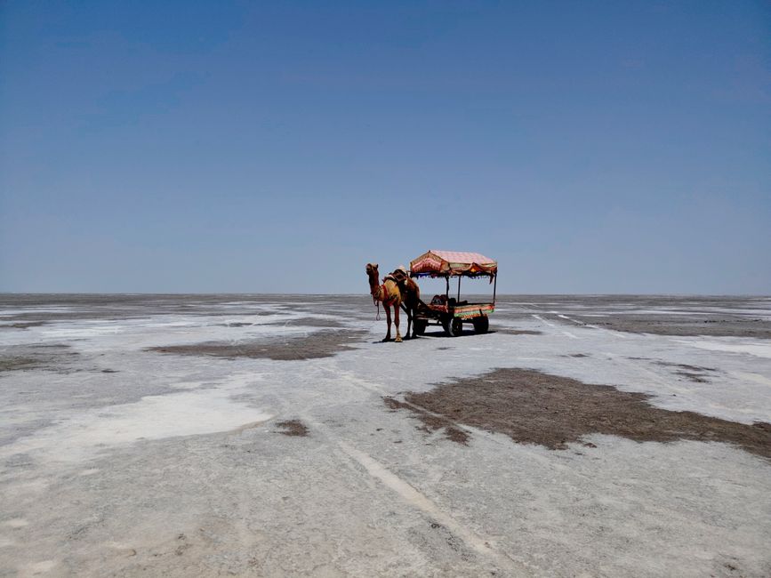 The White Rann, Kutch