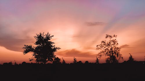 Immagine gratuita di tramonto