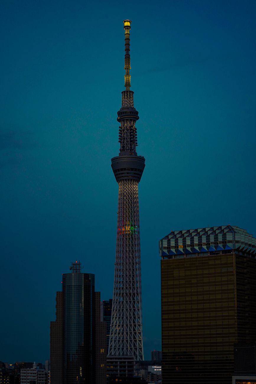 日本の夜景