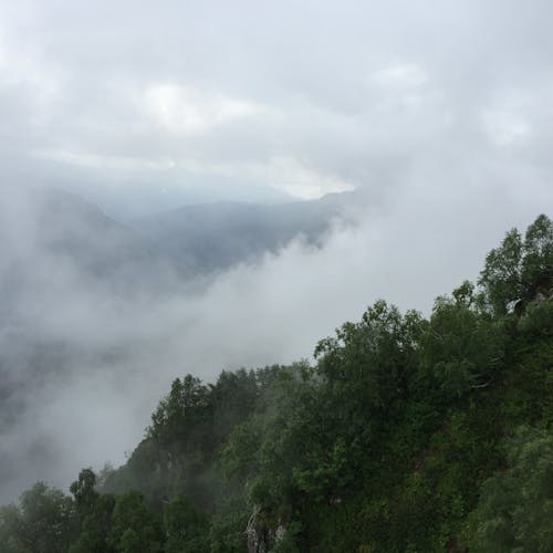 山, 森林, 雲 的 免費圖庫相片