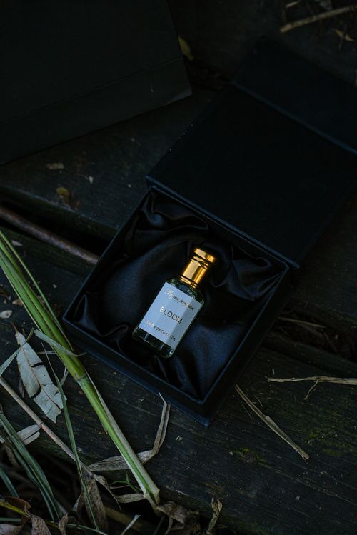 Free Elegant perfume bottle in black box with natural elements on wooden surface. Stock Photo