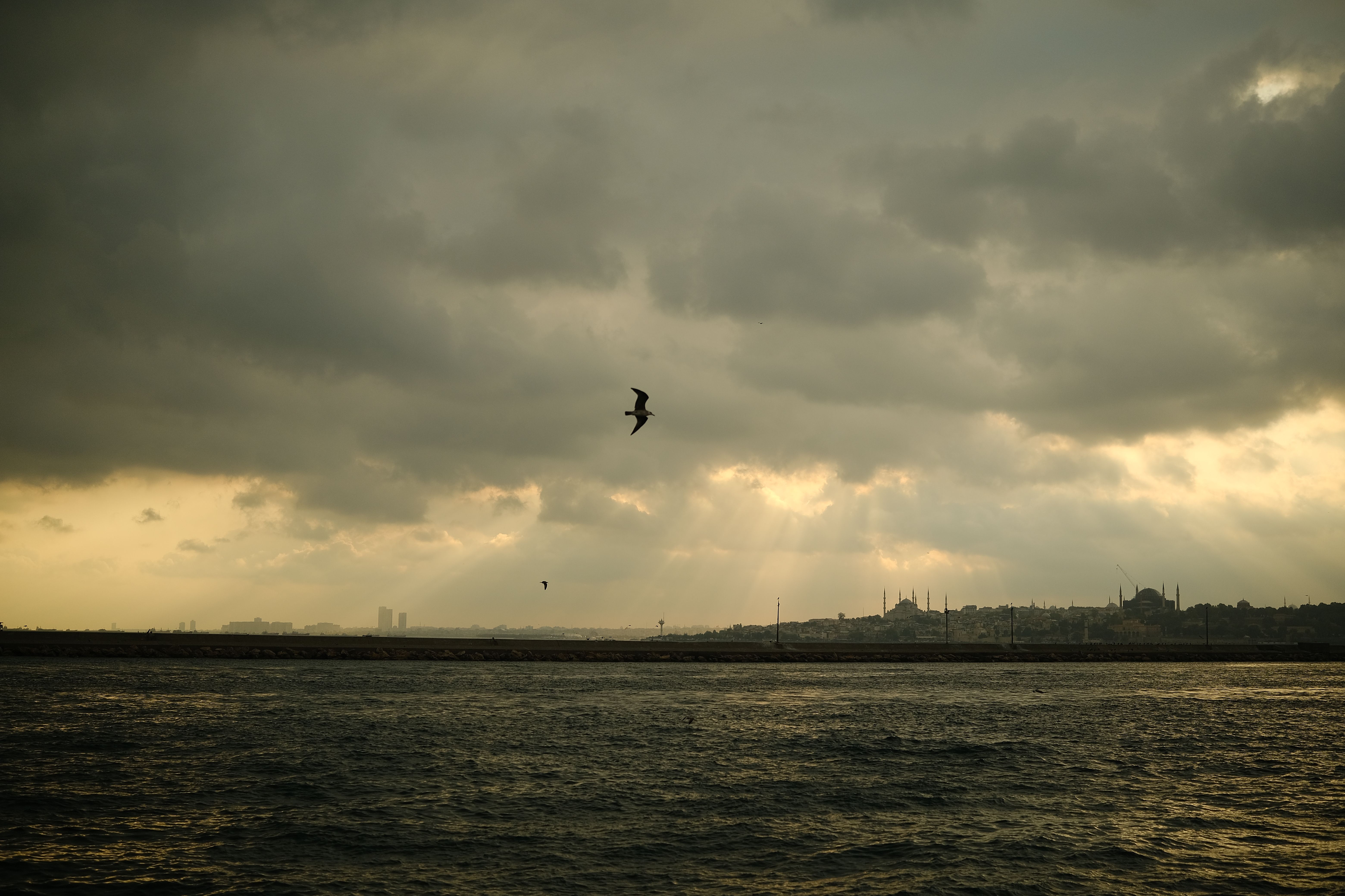 Windows 11 Hava Durumu Uygulaması Neden Bu Kadar RAM Harcıyor? - Seagulls glide over the serene waters of İstanbul under a moody sky. Iconic skyline visible.