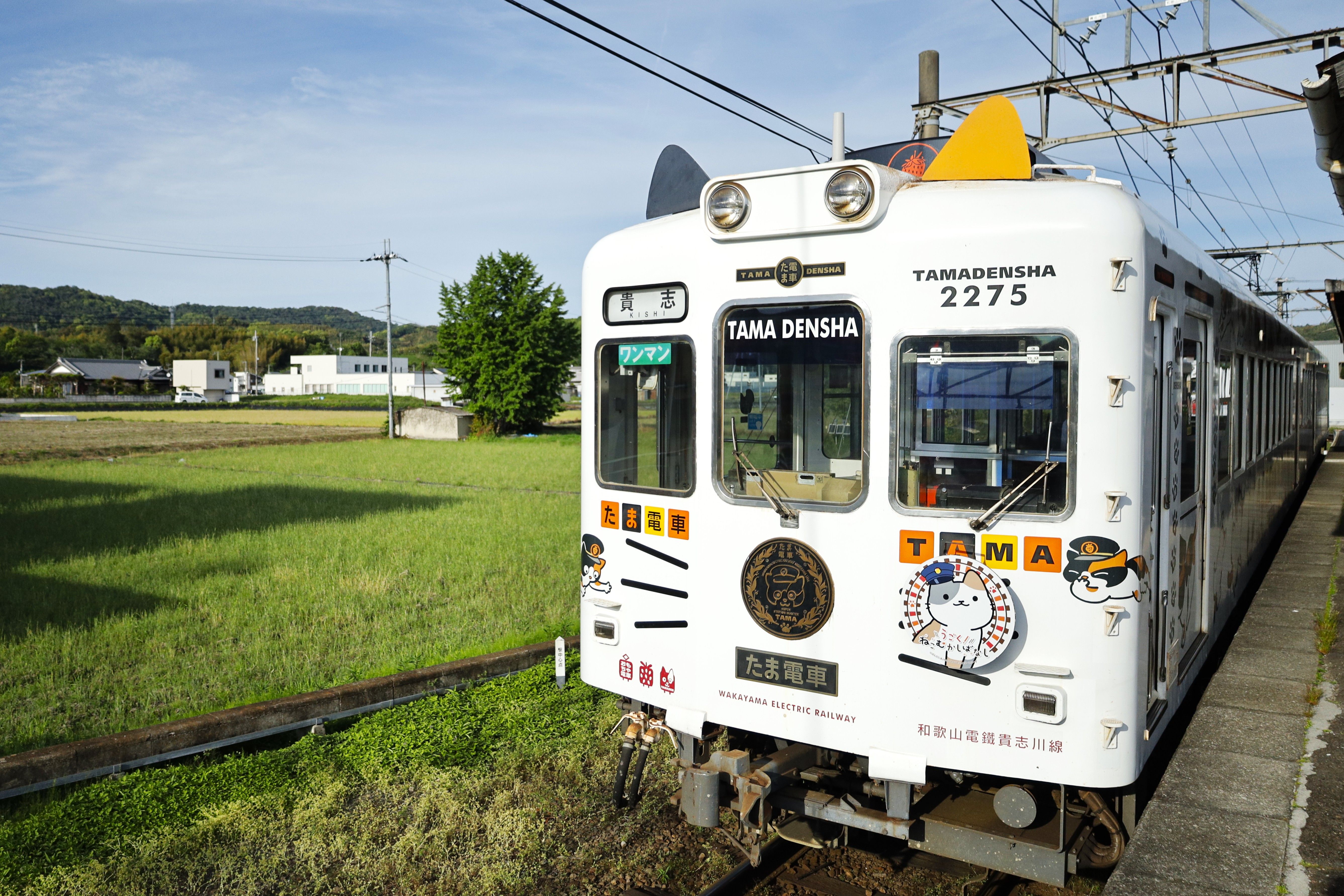 Tanba-Sasayama — Tanba-Sasayama