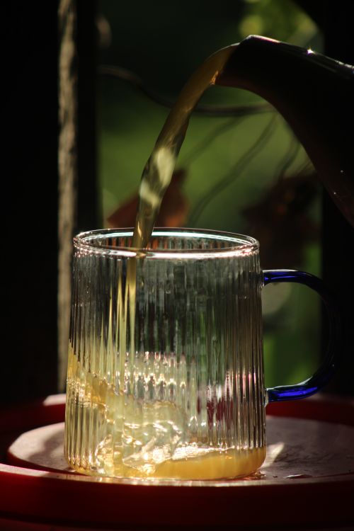 Free A serene capture of tea being poured into a glass mug with a blue handle, illuminated by natural light. Stock Photo