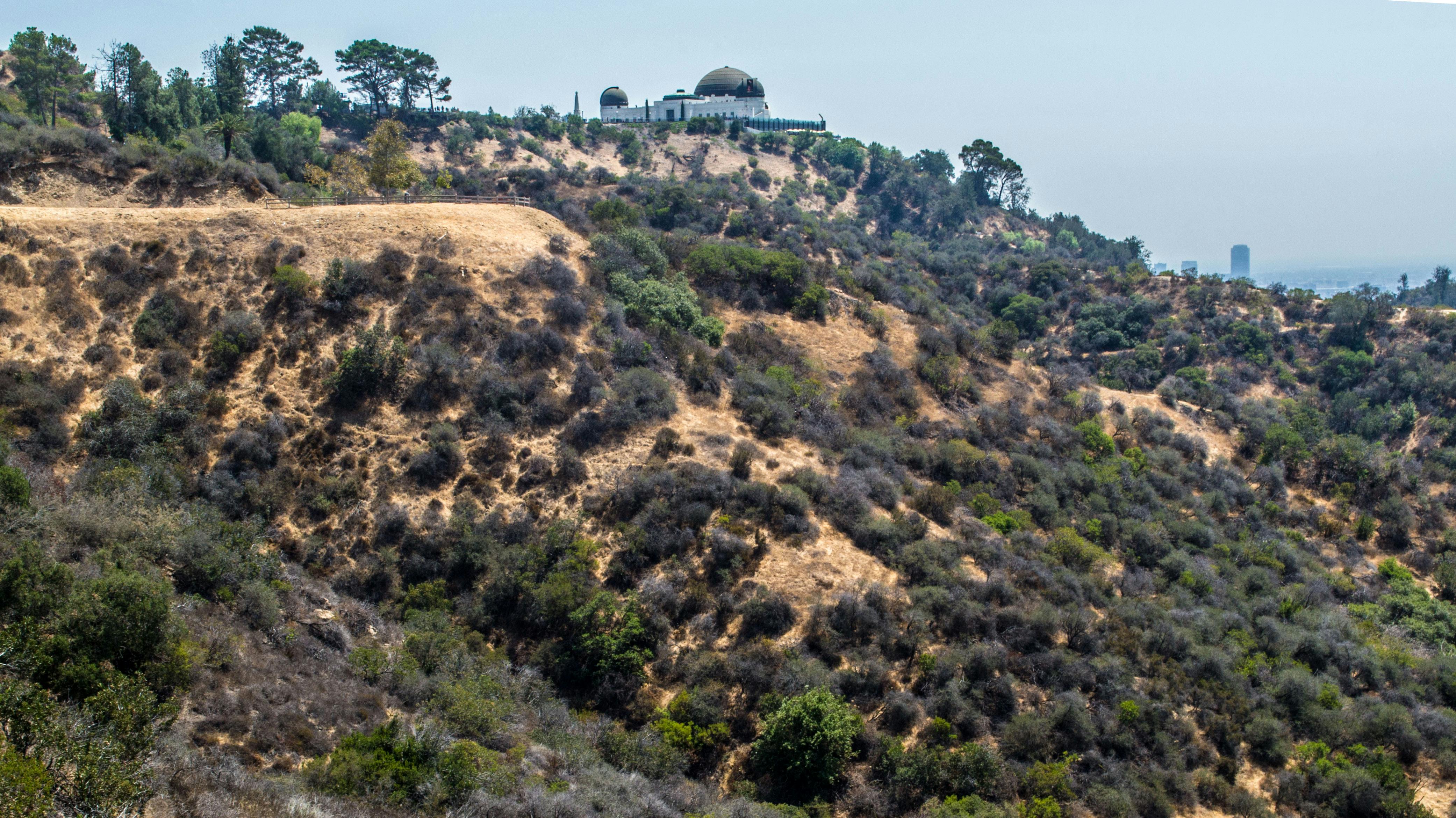 Free stock photo of cali, city, Ð»Ð¾Ñ Ð°Ð½Ð´Ð¶ÐµÐ»ÐµÑ