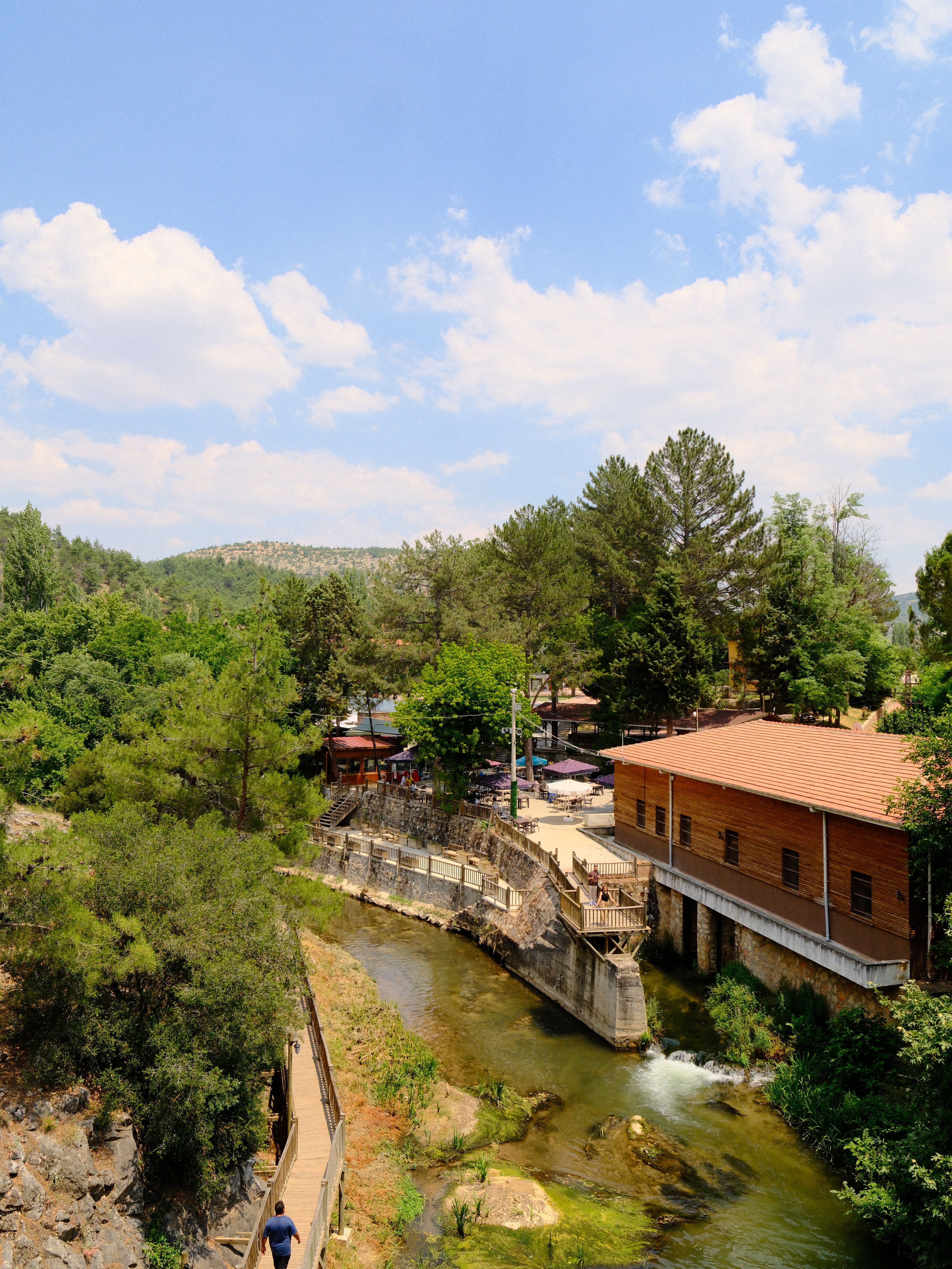 Beautiful summer scenery of a river with lush greenery in Uşak, Türkiye.