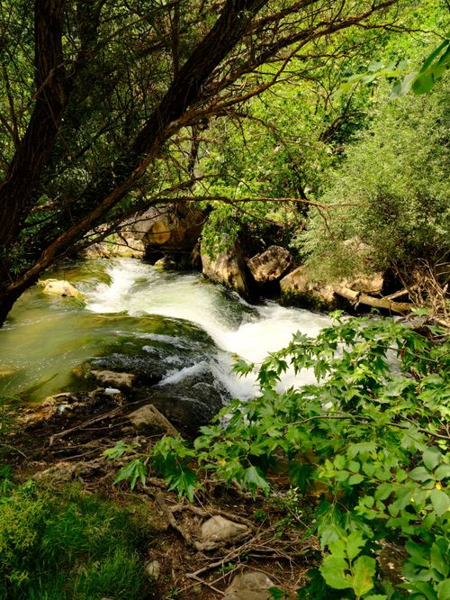 Free Serene river flows through lush forest in Uşak, Türkiye, showcasing nature's beauty. Stock Photo