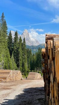 Stunning view of the Dolomites framed by piled logs and pine trees under a clear blue sky.