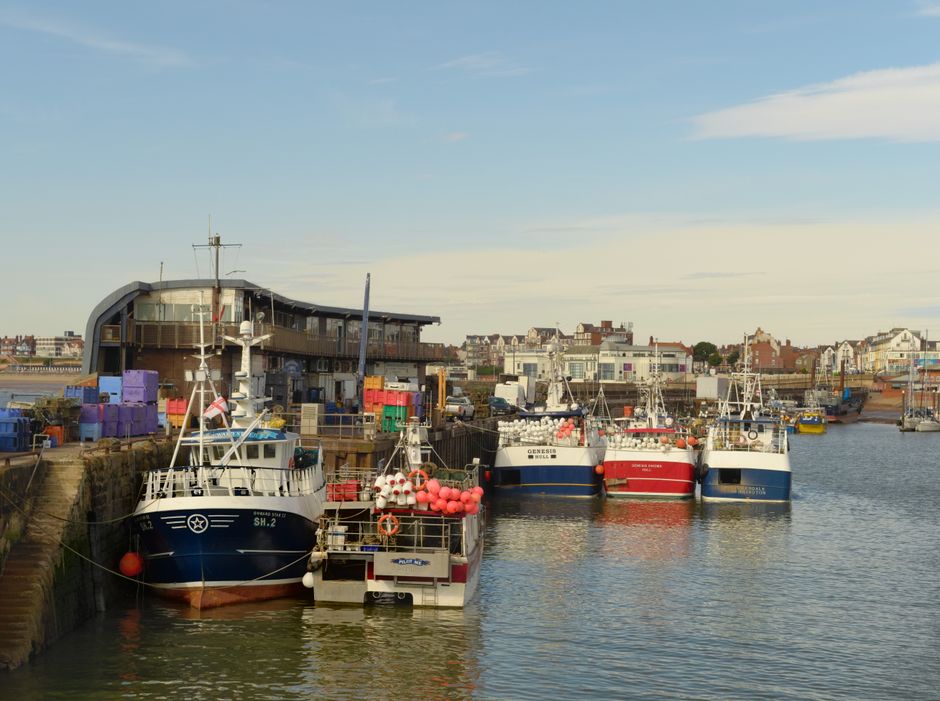 Brixham — view 1