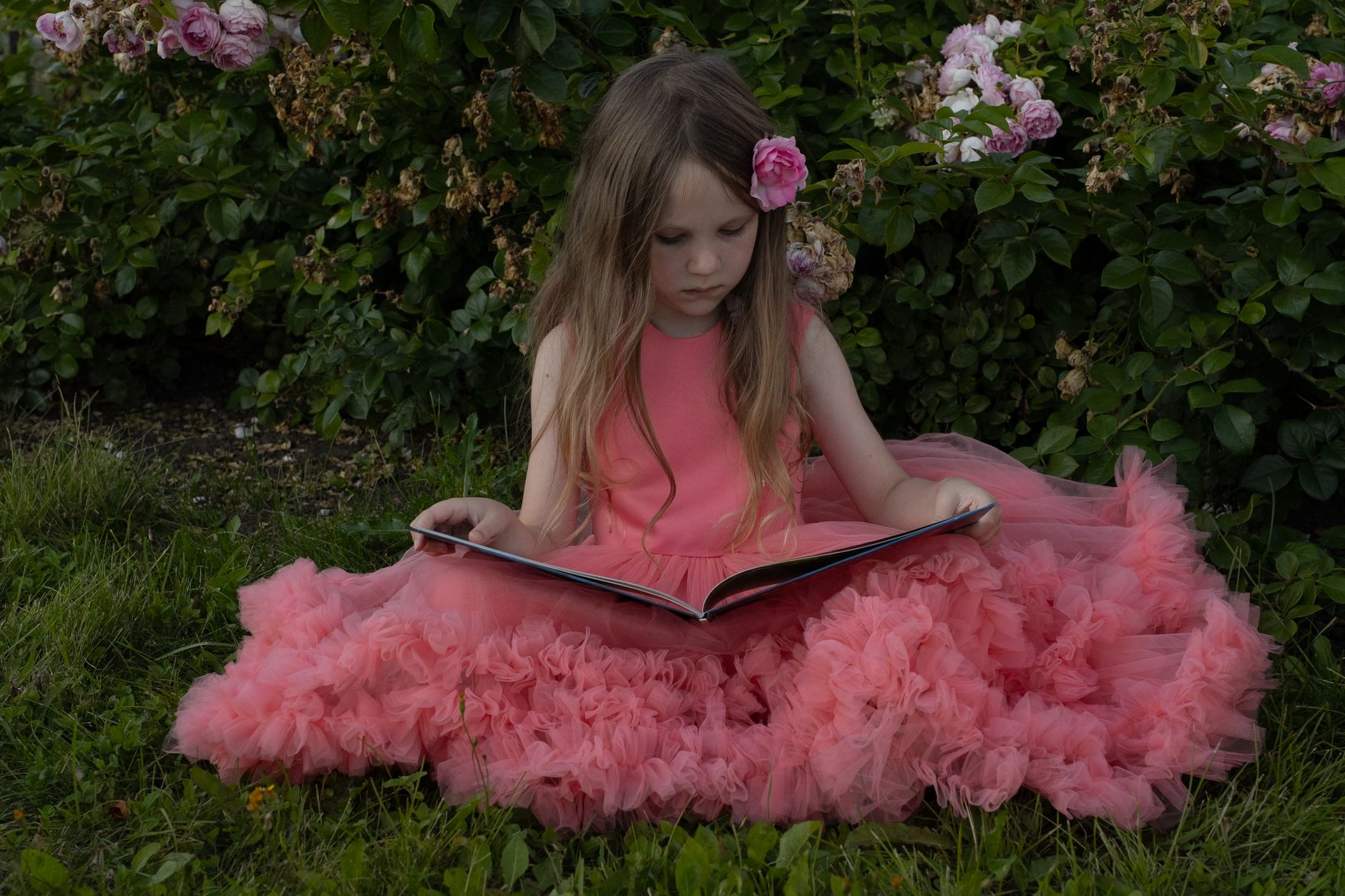Baby to Five Tales